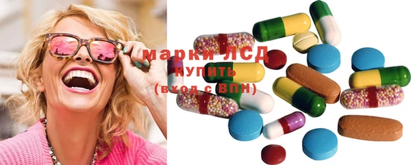 прущие грибы Абинск