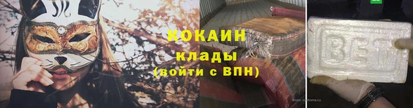 шишки Абаза