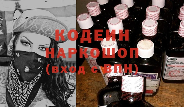 прущие грибы Пестово
