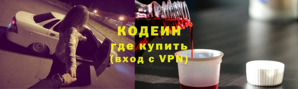 прущие грибы Пестово