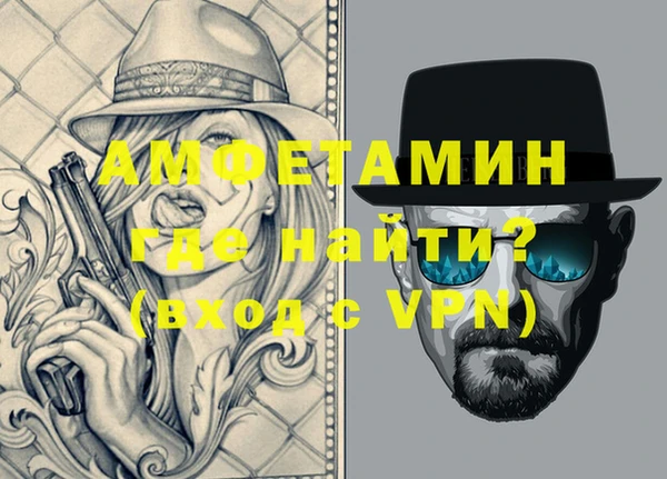 шишки Абаза