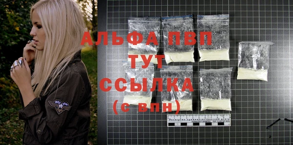 Альфа ПВП Пересвет