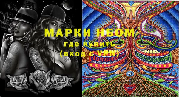 прущие грибы Пестово