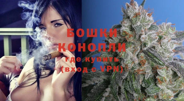Альфа ПВП Пересвет